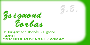 zsigmond borbas business card