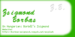 zsigmond borbas business card